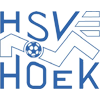 HSV胡克队标