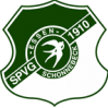 SV索尼克斯队标