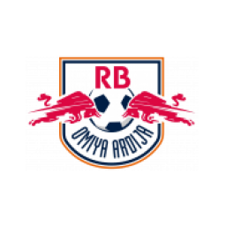 RB大宫队标