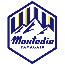 山形山神队标