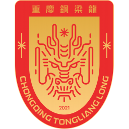 重庆铜梁龙队标