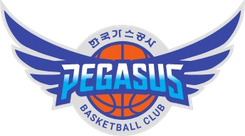 大邱石油公社飞马队标