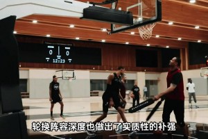 大史分析：沃特森比小波特，更加适合这支骑士